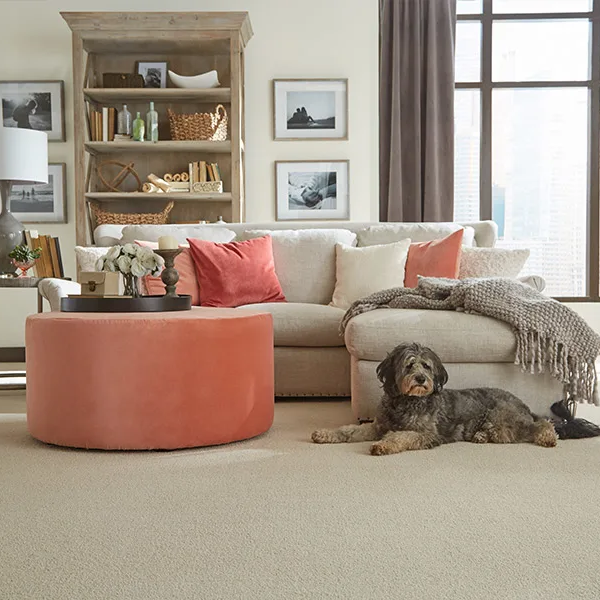 Living room with large sectional couch on carpet